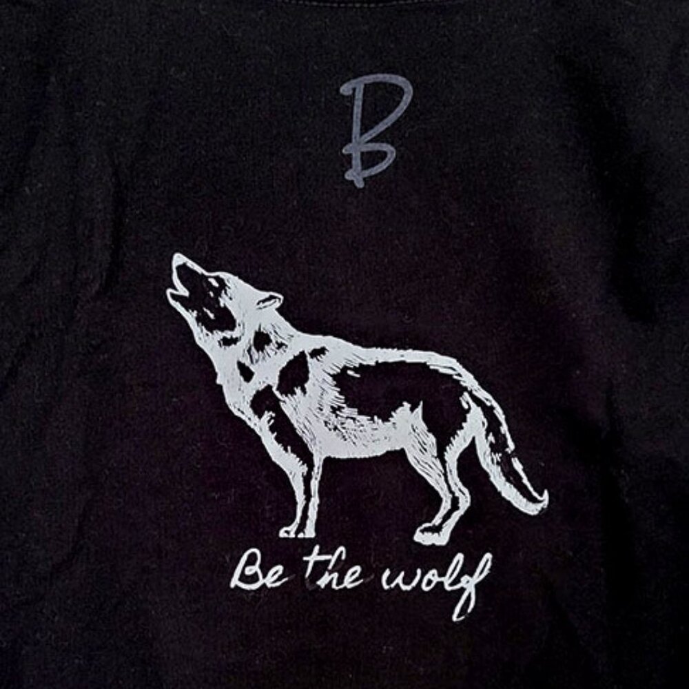 BRAND NEW Burgeon: V-Neck Women's T-Shirt